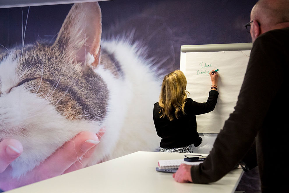 Person writing on a flipchart while another person watches, with a large cat image on the wall.