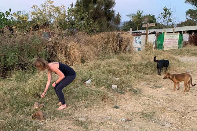 Jenny befriending a puppy, with strays