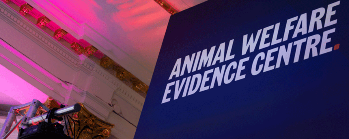 The stage is set for the launch of the Animal Welfare Evidence Centre