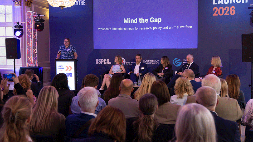 Photograph of the panel with Gemma at the lectern